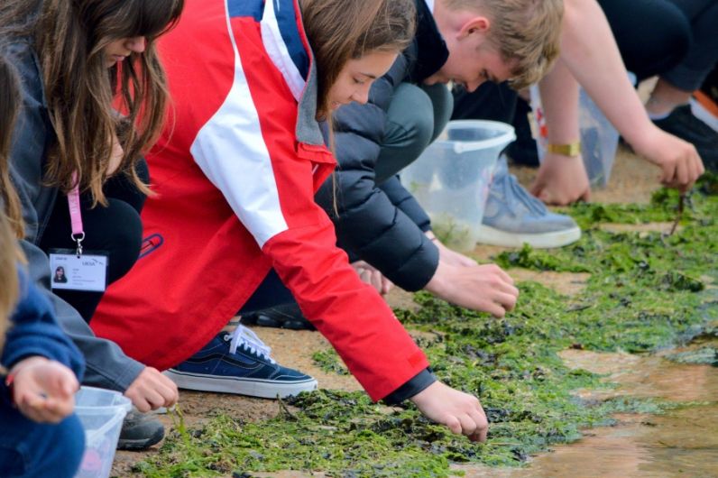 People picking plastic from seaweed from the UKSA slipway
