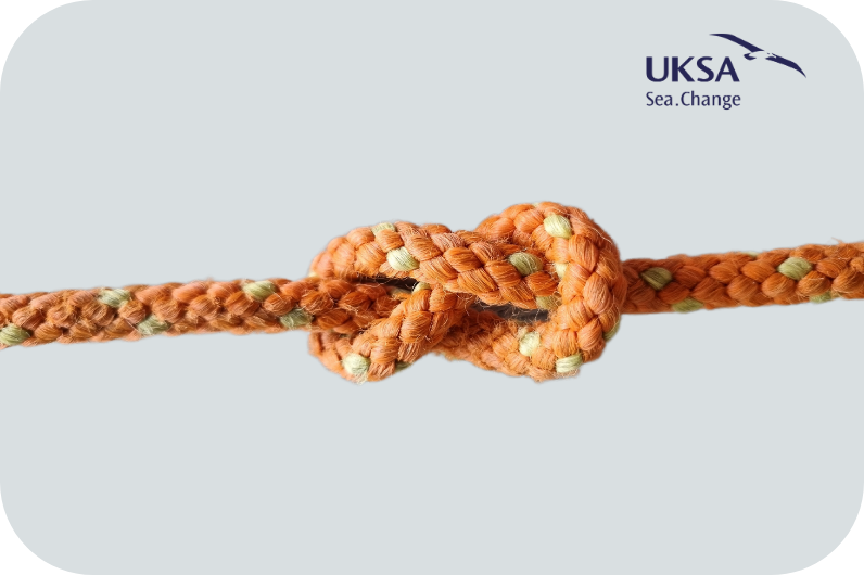 The Figure of Eight knot